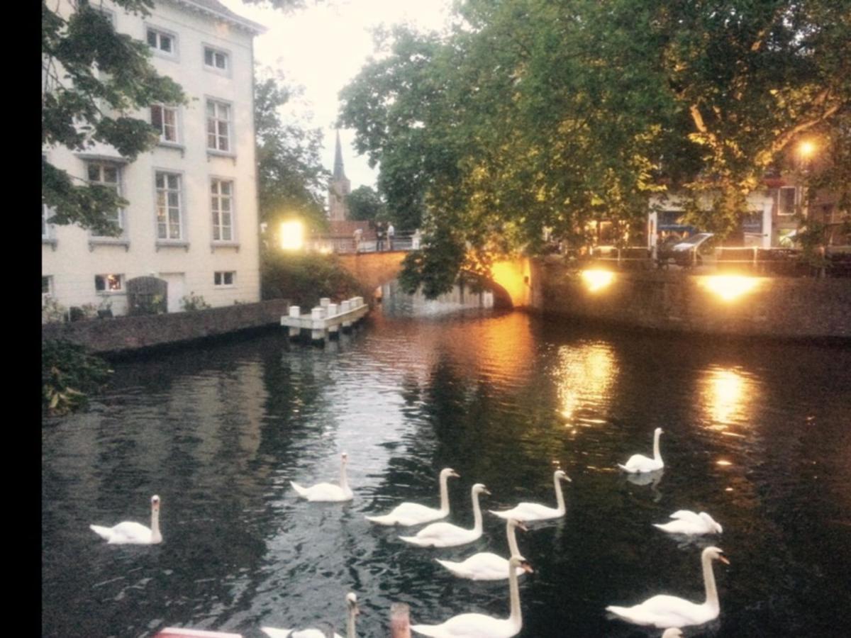 Canal Central Bruggy Exteriér fotografie