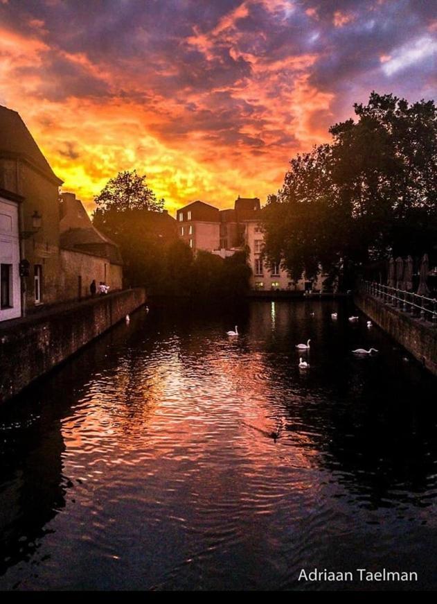 Canal Central Bruggy Exteriér fotografie